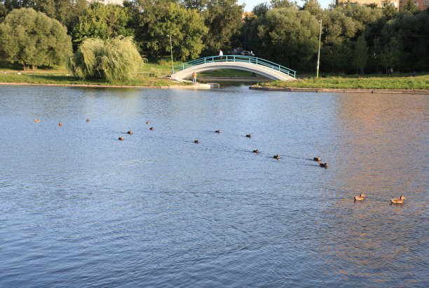 城市公园的夏天图片下载