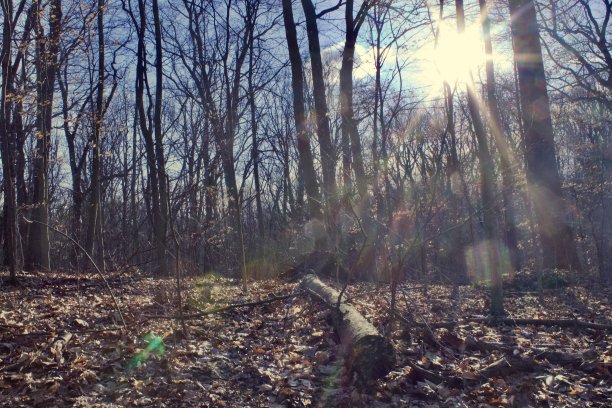 斯科特人跑步徒步弗吉尼亚图片下载