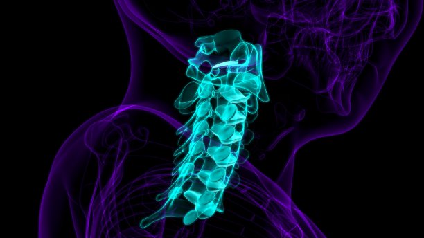 人体骨骼脊柱颈椎解剖3D图片下载