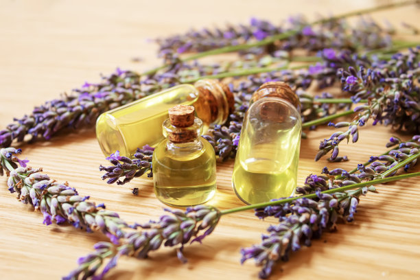 薰衣草精油在一个小瓶子。有选择性的重点。图片下载
