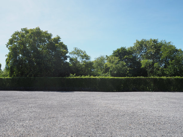 停车场点缀着砾石灌木绿树蓝天自然背景图片下载