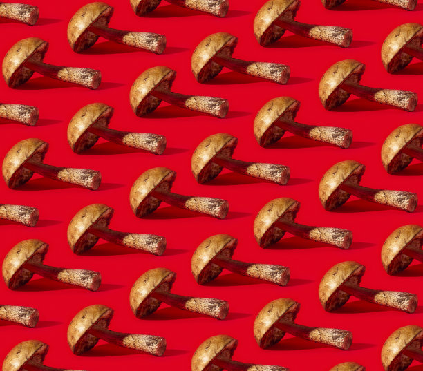 红色背景上的森林蘑菇图案图片下载