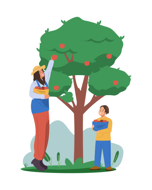 一位女农夫在收获季节从花园里的一棵苹果树上采摘苹果图片下载