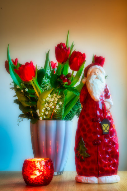 郁金香花朵的花束图片下载