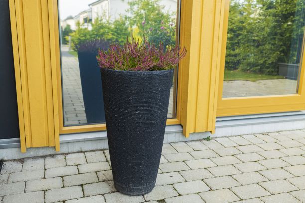 美丽的近景粉红色的室外装饰花靠近入口门。图片下载