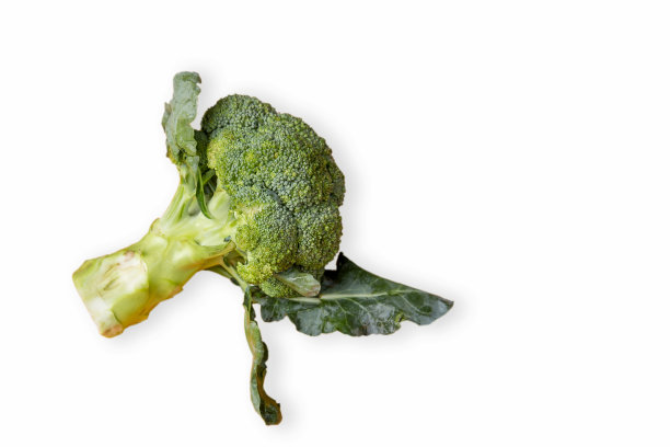 采购产品花椰菜，白色背景，蔬菜，切下来，绿色图片下载