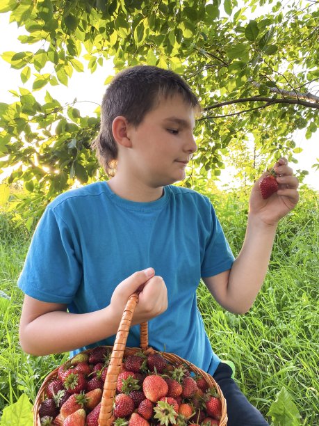 一个皮肤白皙的孩子在夏天的小屋里，带着一篮子成熟的红草莓。图片下载