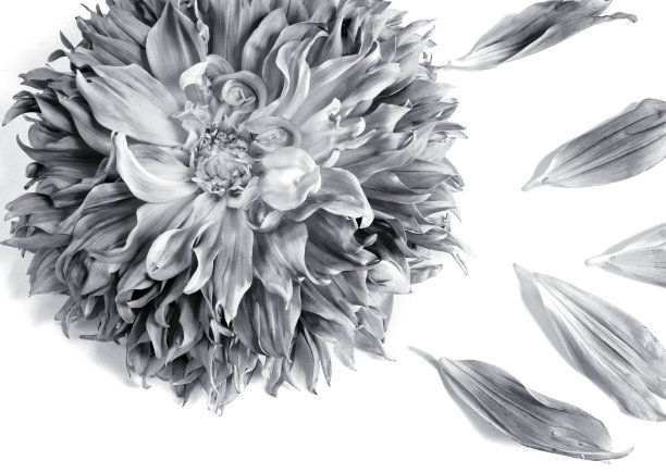 细节之美图片下载