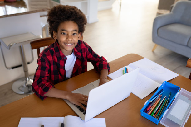 男孩在家用笔记本电脑的肖像图片下载