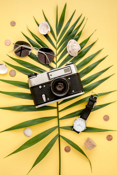 旅行者配件概念上的黄色背景。复古相机，模型飞机，飞机，太阳镜，护照和热带棕榈叶图片下载