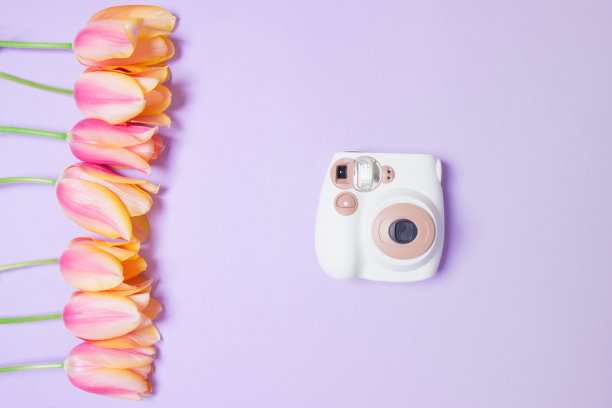 紫色纸背景上的郁金香花束和棕色相机图片下载