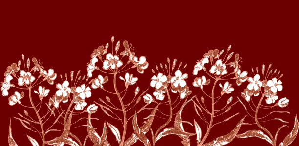 手绘复古风格的圆形花卉图案。花，叶和香草。植物插图。图片下载