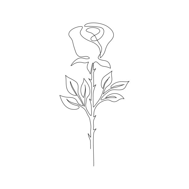 玫瑰。花。图片下载