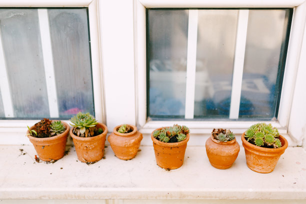 窗台上挂着多肉植物的陶罐。图片下载