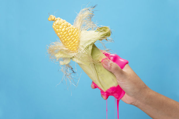 手持切片玉米芯在蓝色纸背景。图片下载