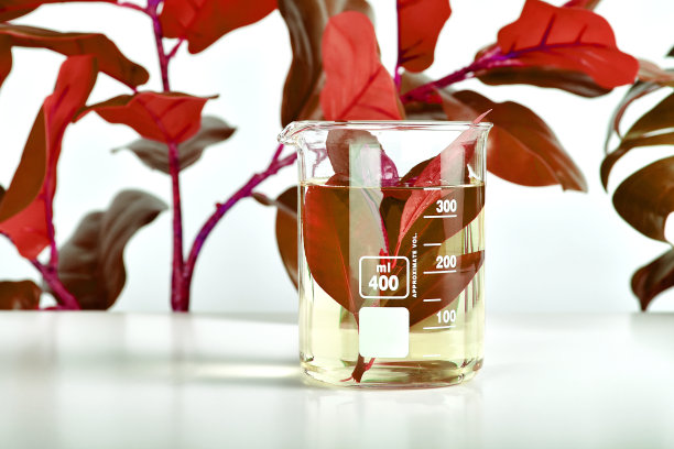 天然药物研究，臼中植物提取，替代绿色中草药，天然有机护肤美容产品，实验室及开发理念。图片下载