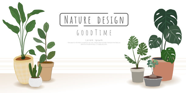 植物向量集，室内外景观园林盆栽植物。图片下载