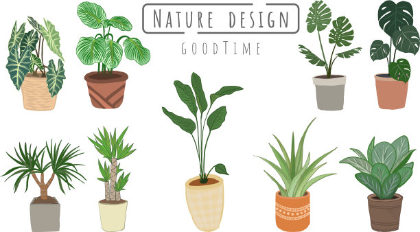 植物向量集，室内外景观园林盆栽植物。图片下载