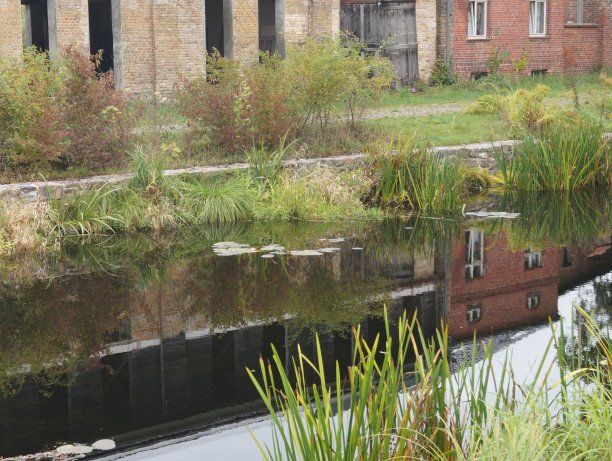 水中倒影图片下载