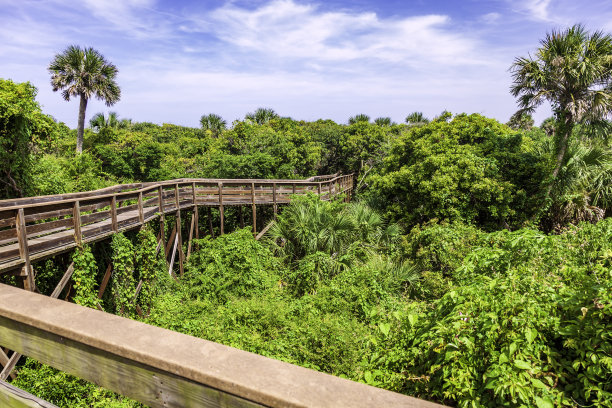 海龟丘保护区在国家史迹名录(National Register of Historic Places)上，位于新士麦那海滩(New Smyrna Beach)附近，作为卡纳维拉尔国家海滨(Canaveral National Seashore)的一部分，由国家公园管理局(National Park Service)管理。这是大西洋海岸附近的木板路图片下载