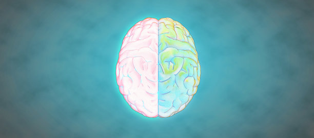 彩色铅笔画人脑插图图片下载