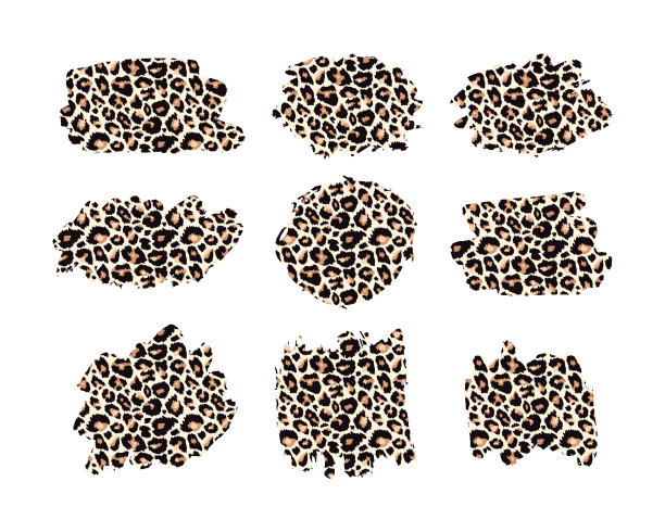 手绘矢量豹纹纹理墨水笔触，黑色颜料斑点设置与狮子座纹理。动物颜料涂抹艺术背景。污渍形状和轮廓设计元素图片下载