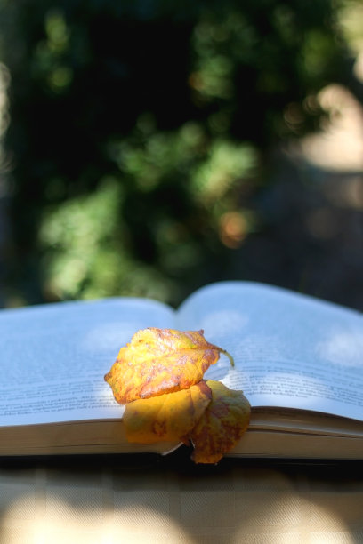 书与秋叶图片下载