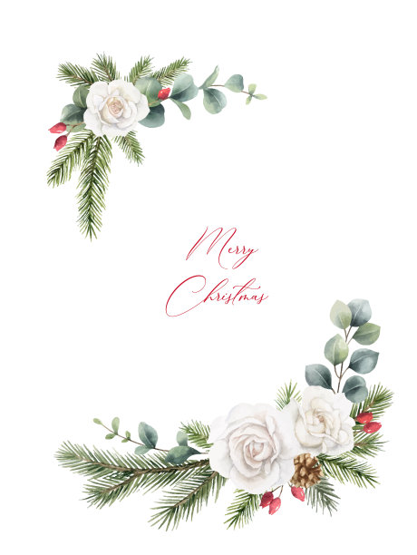 水彩矢量圣诞花环与冷杉树枝，白玫瑰和桉树。手绘插图的问候花明信片和邀请孤立在白色的背景。图片下载