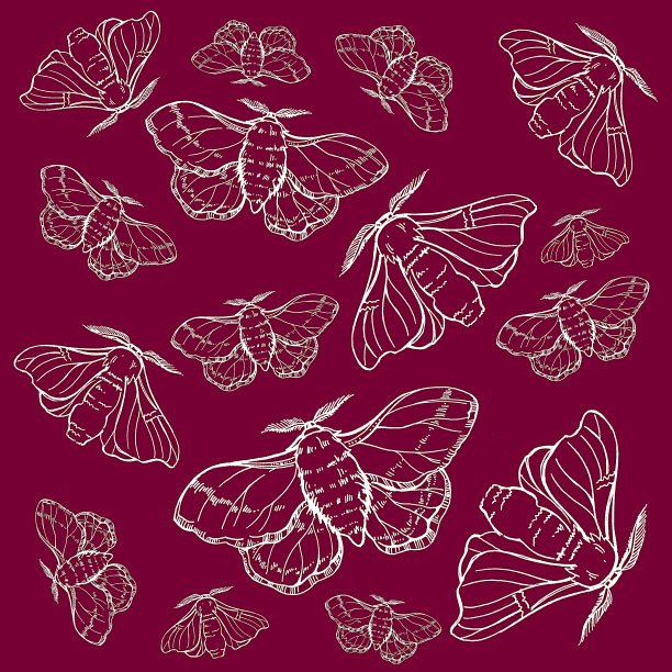 手绘插图蝴蝶蚕。纺织品图案，婚礼，美丽的背景。图片下载