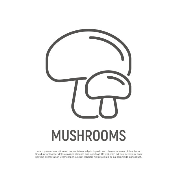 蘑菇细线图标。蘑菇。健康的有机食品。矢量插图。图片下载