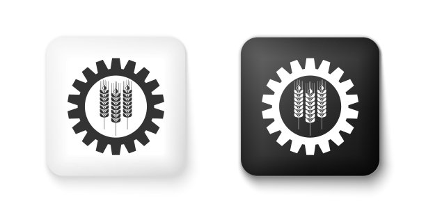 黑白小麦和齿轮图标隔离在白色背景上。农业标志与谷物和工业齿轮。工业和农业。方形按钮。向量图片下载