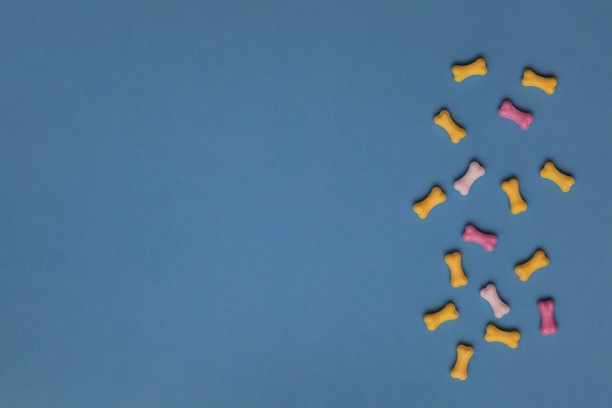 蓝色背景上的狗骨头形状的多色糖果。平铺，拷贝空间，俯视图。图片下载