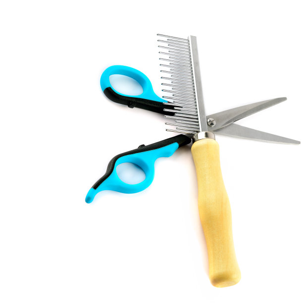 剪子和梳子梳理狗毛孤立在白色背景。图片下载