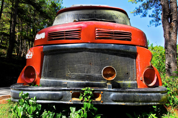 亚洲树林里一辆红色大卡车的残骸图片下载