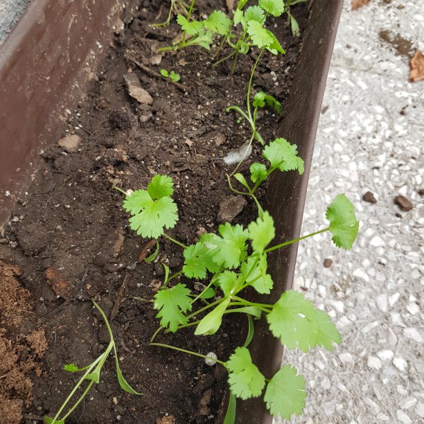 雪铁龙工厂图片下载