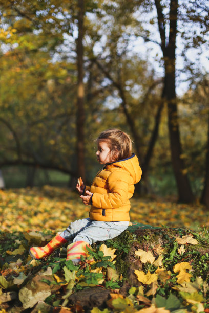 一个有趣的小女孩穿着时髦的黄色保暖夹克，牛仔裤，橙色橡胶靴子坐在老树桩在秋天的森林或公园户外。枫叶在地上长叶子。概念秋天家庭照片拍摄图片下载