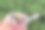 特写照片的纸杯与冰淇淋在男人的手在绿色的背景在公园。咖啡冰淇淋配蜜饯水果和巧克力饼干。图片下载
