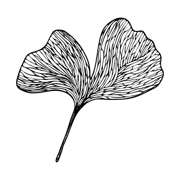 矢量等高线叶图片下载