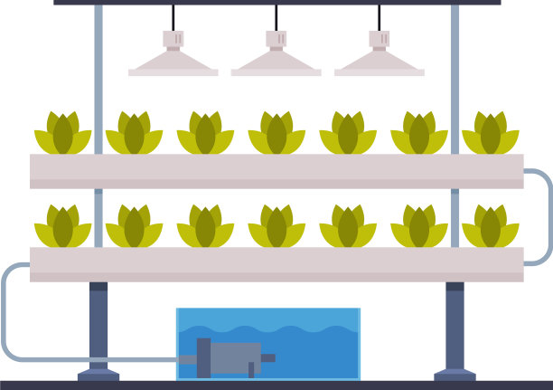 水培、气培园艺系统生态化图片下载
