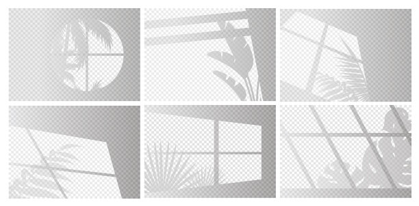 窗户灯光设置植物图片下载