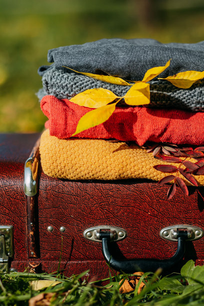 温暖的毛衣堆在古董手提箱上。编织毛衣和树叶。秋天的畅快。黑色星期五毛衣大减价。图片下载