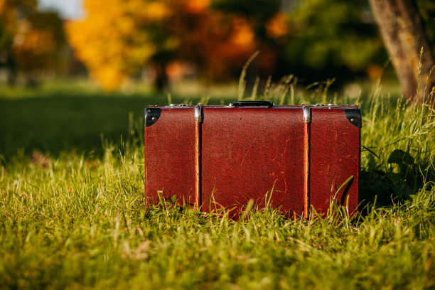 秋天森林里的棕色古董手提箱。皮箱在树下。秋天的大自然，树叶黄红相间。图片下载