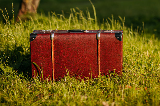 秋天森林里的棕色古董手提箱。皮箱在树下。秋天的大自然，树叶黄红相间。图片下载