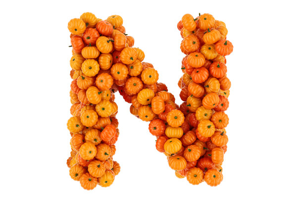 字母N来自南瓜。3D渲染孤立在白色背景图片下载