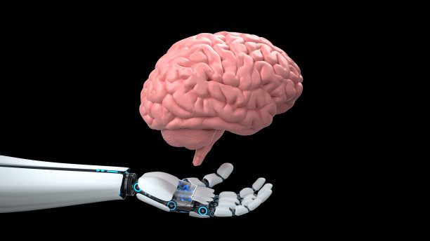 人形机器人手人类大脑图片下载