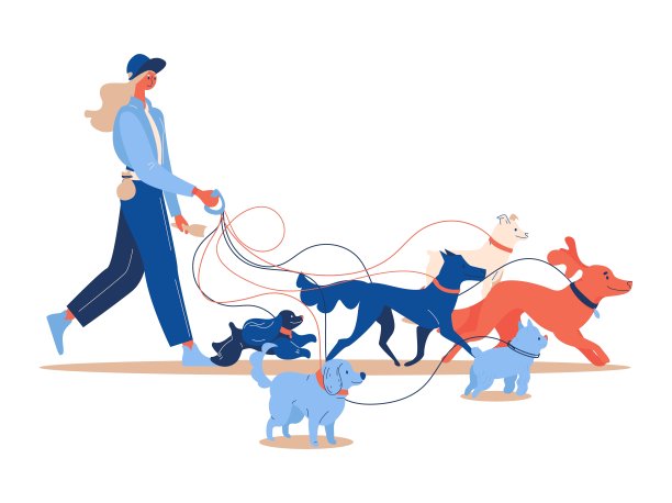 女狗保姆与各种狗散步。孤立的白色字符，有利于宠物服务和照顾图片下载