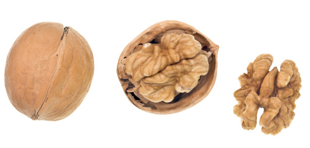 核桃在白图片下载