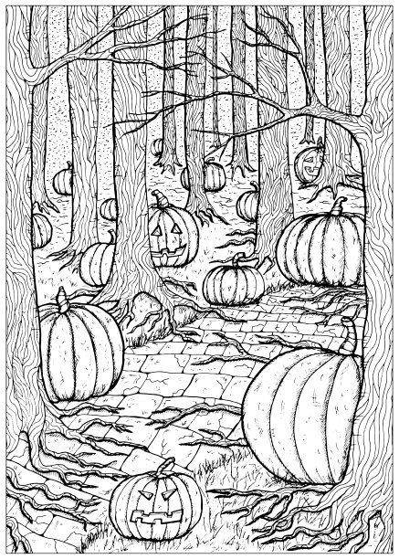 黑色和白色矢量插图与路径或小径，可怕的南瓜头和灯笼隐藏在黑暗的森林或森林的阴暗的树木后面。图片下载