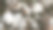 棉花田背景准备收获。图片下载