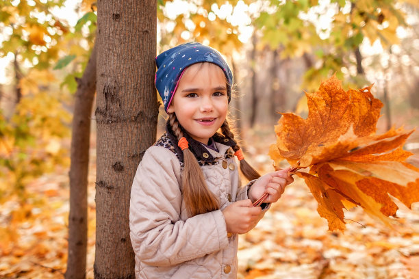 秋天的气息，你好秋天。时尚的7岁女孩走在空旷的公园中，金色的树木图片下载